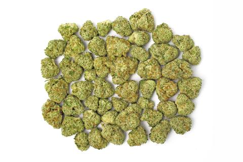 A quarter ounce of marijuana on a scale