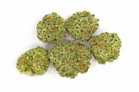 One gram of marijuana on a scale