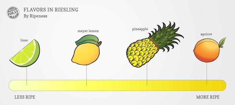 Riesling-Wine-Grapes-Glass-Wine-Folly