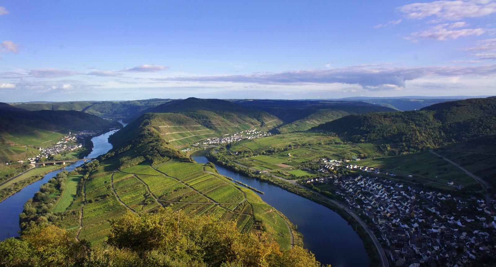 Egon Muller-Scharzhof Scharzhofberger Riesling Trockenbeerenauslese, Mosel, Germany