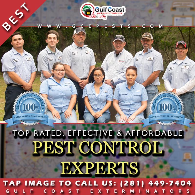 Tap Image to Call Gulf Coast Exterminators on mobile device
