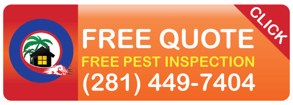 Get Your Free Quote from Gulf Coast Exterminators