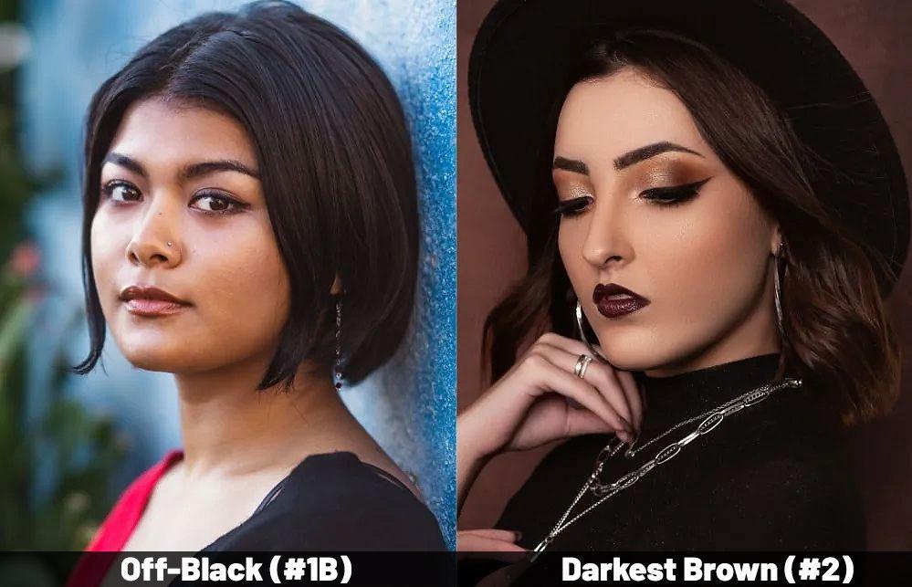 1b vs 2 hair color