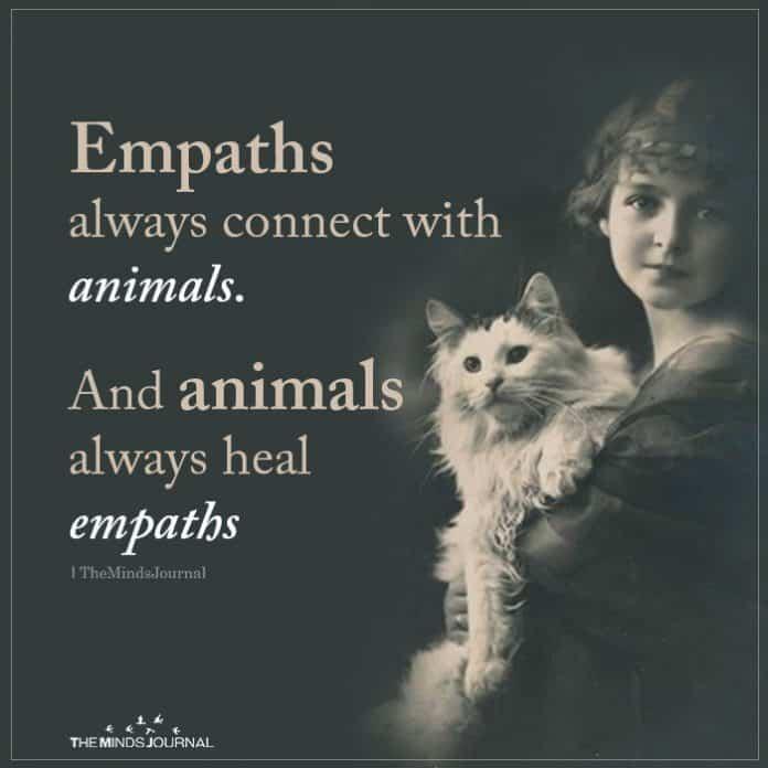 A paw full of empathy 
