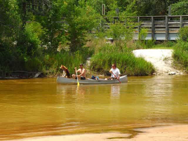 people canoeing at blackwater in milton florida