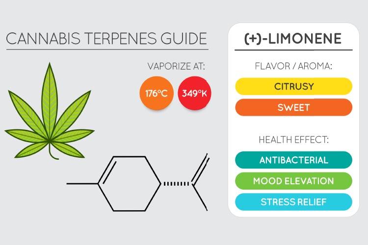 Limonene Terpenes for Pain