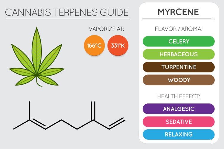 Beta-Myrcene Terpene