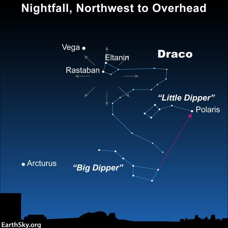 Star chart with set of radial arrows at one end of constellation Draco.