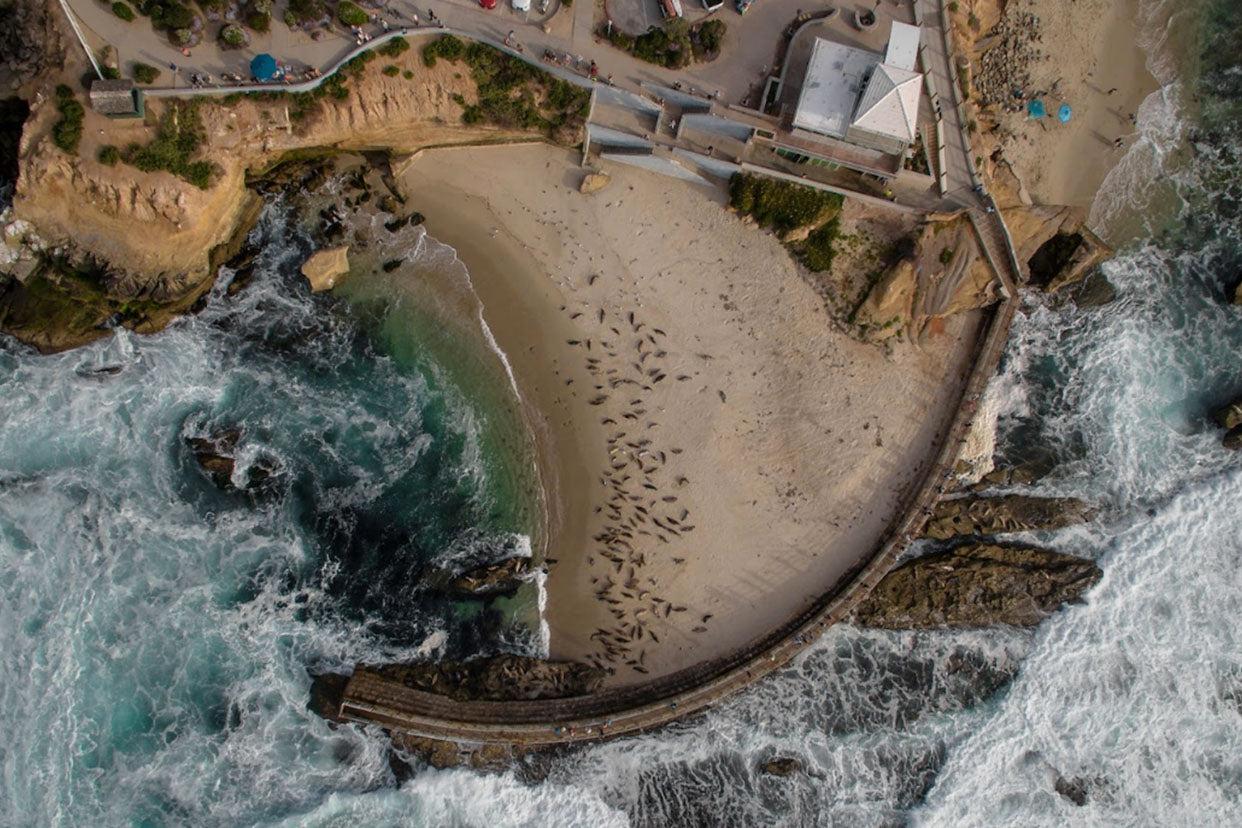 Aerial image of Children