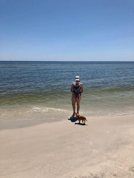 dauphin-island-sea-turtle-sign