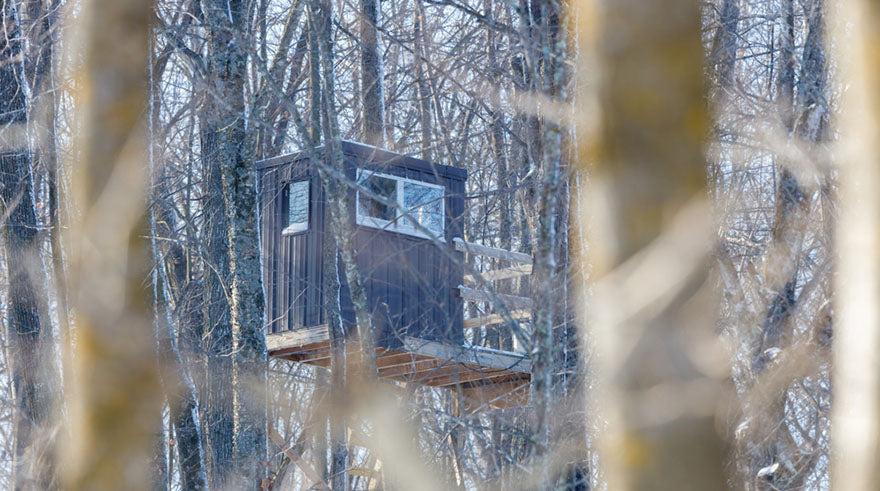 hunter blind in trees