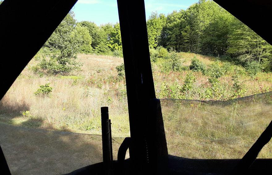 view from inside a blind