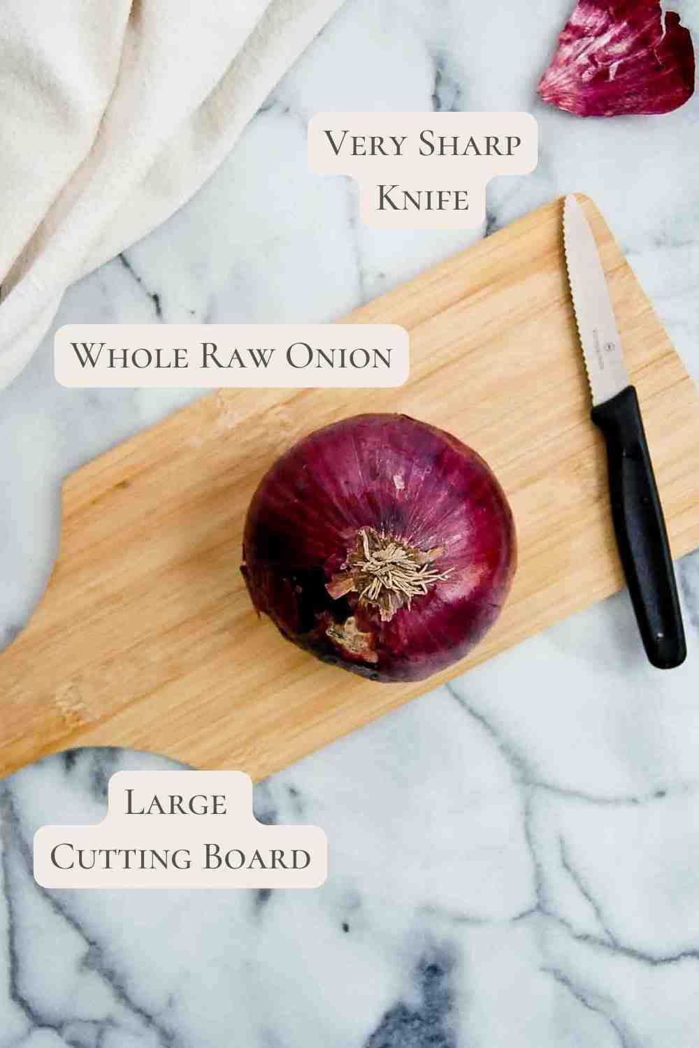 large onion, knife, and cutting board on counterboard.