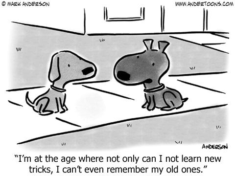 Old Dog Cartoon.