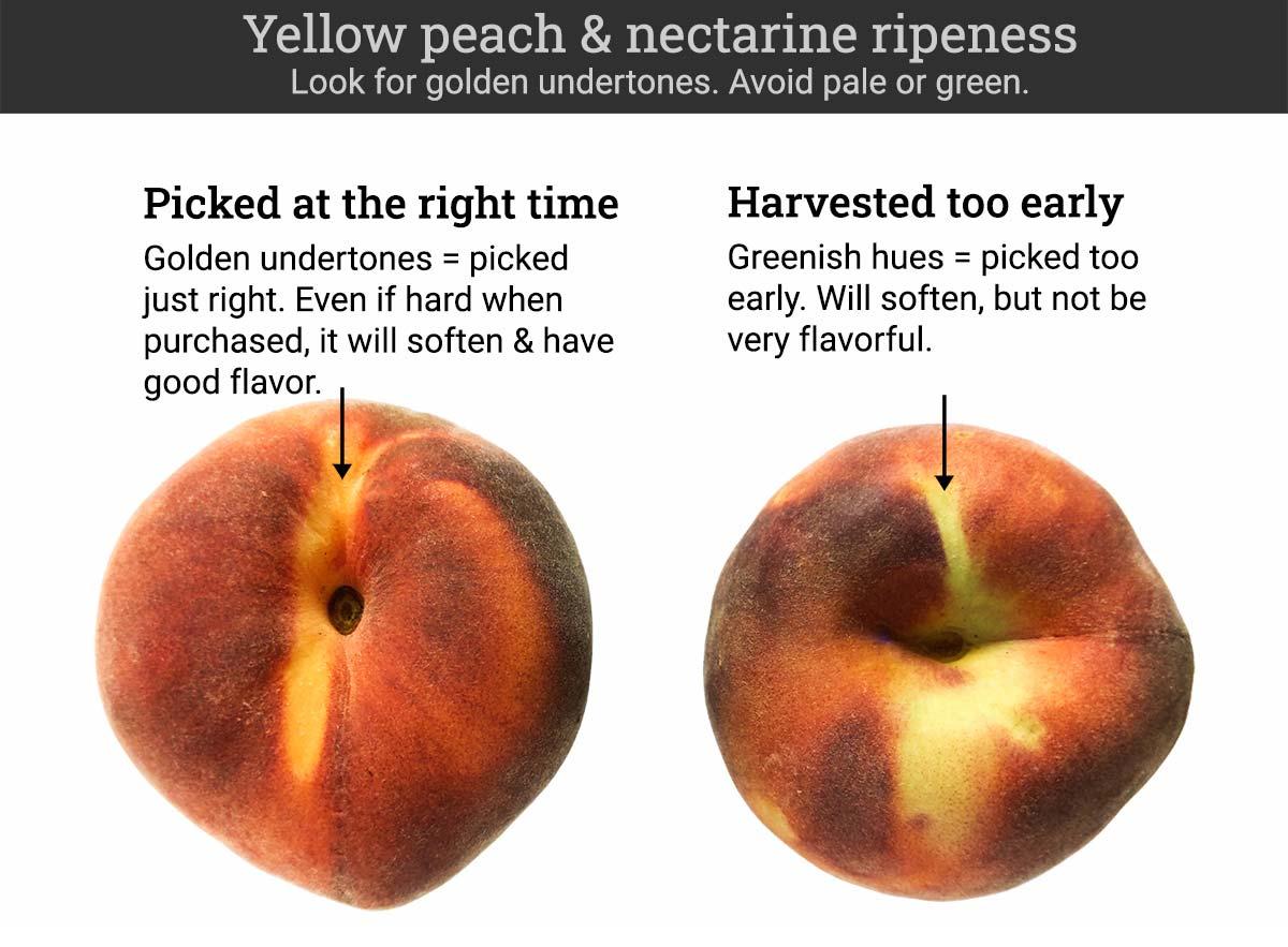 Ripe white nectarines and peaches will have pale yellow undertones. Unripe ones will be greenish.