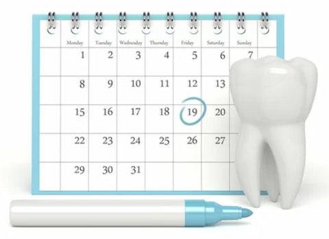 a calendar, a pen and a tooth model