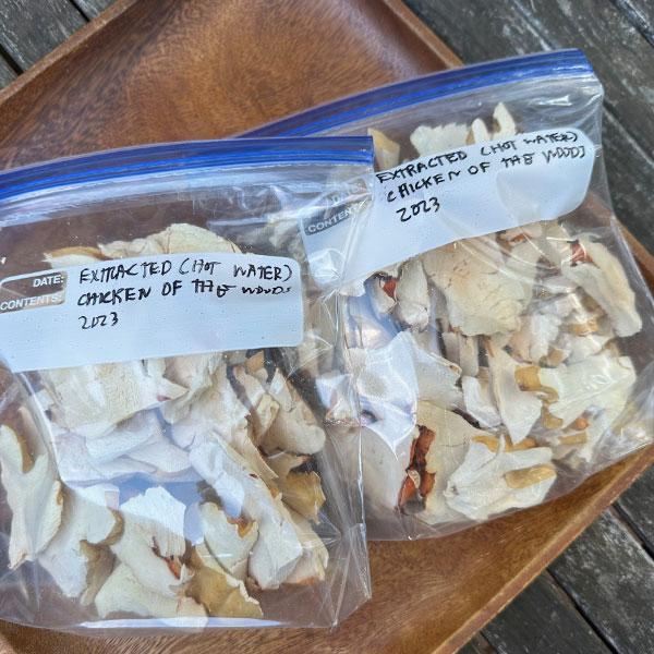 Boiled and dehydrated chicken of the woods pieces, ready to become powder. It can be used as seasoning, in breads, soups, sauces and stews.