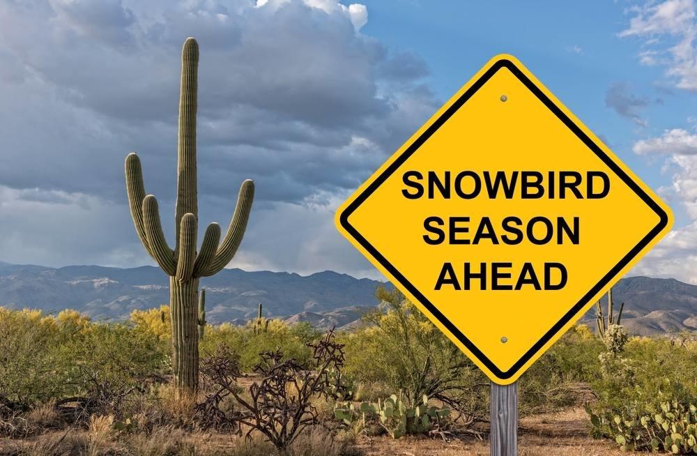 All About Snowbird Season in Florida