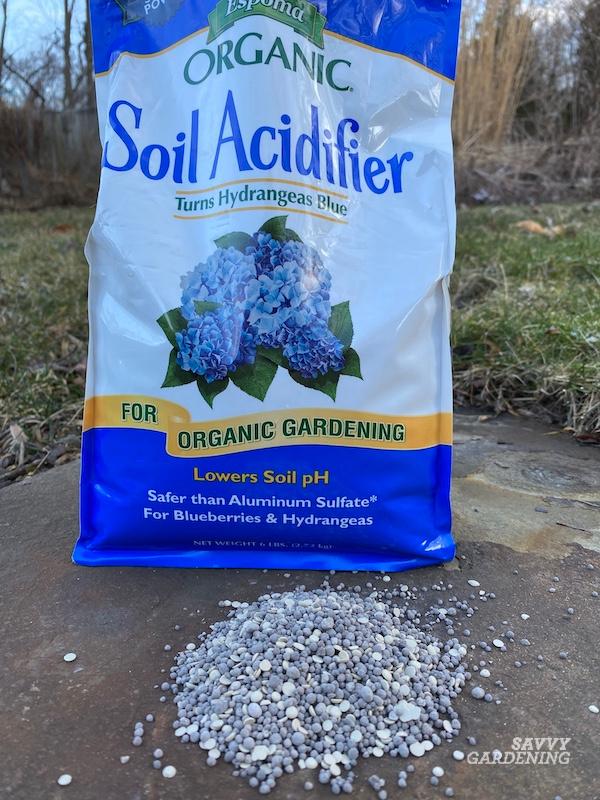 When to fertilize azaleas with a soil acidifier.