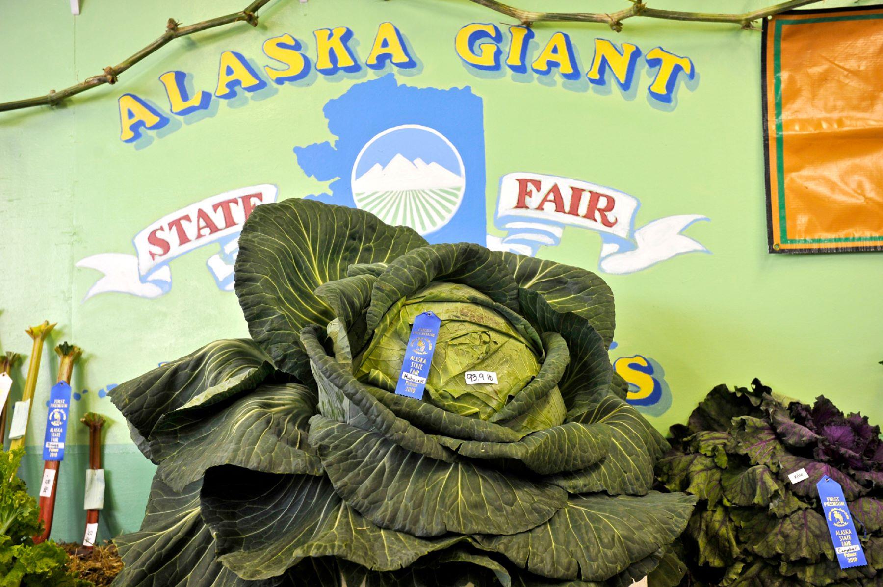 Giant produce at the Alaska State Fair in Palmer