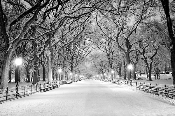 New York Winter in Park Snowfall