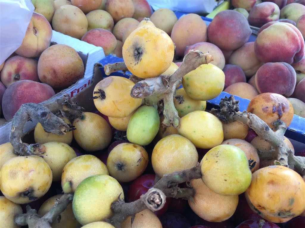 Seasonal Fruit: Loquats (available in San Francisco farmers markets)