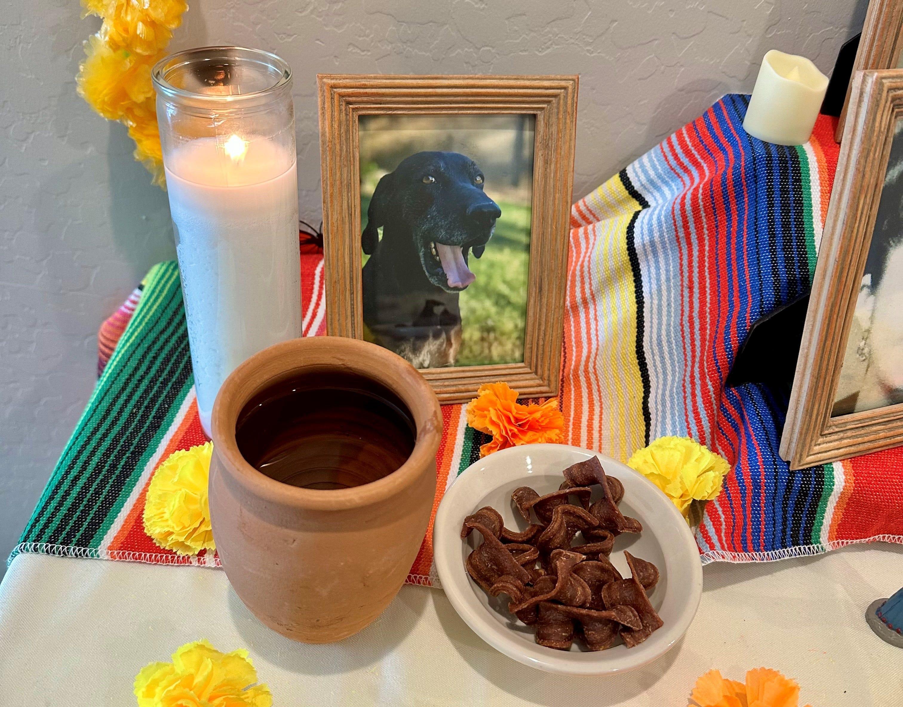 Fernanda Cortes made an ofrenda to reunite with her childhood dog Rocky for Día De Los Muertos