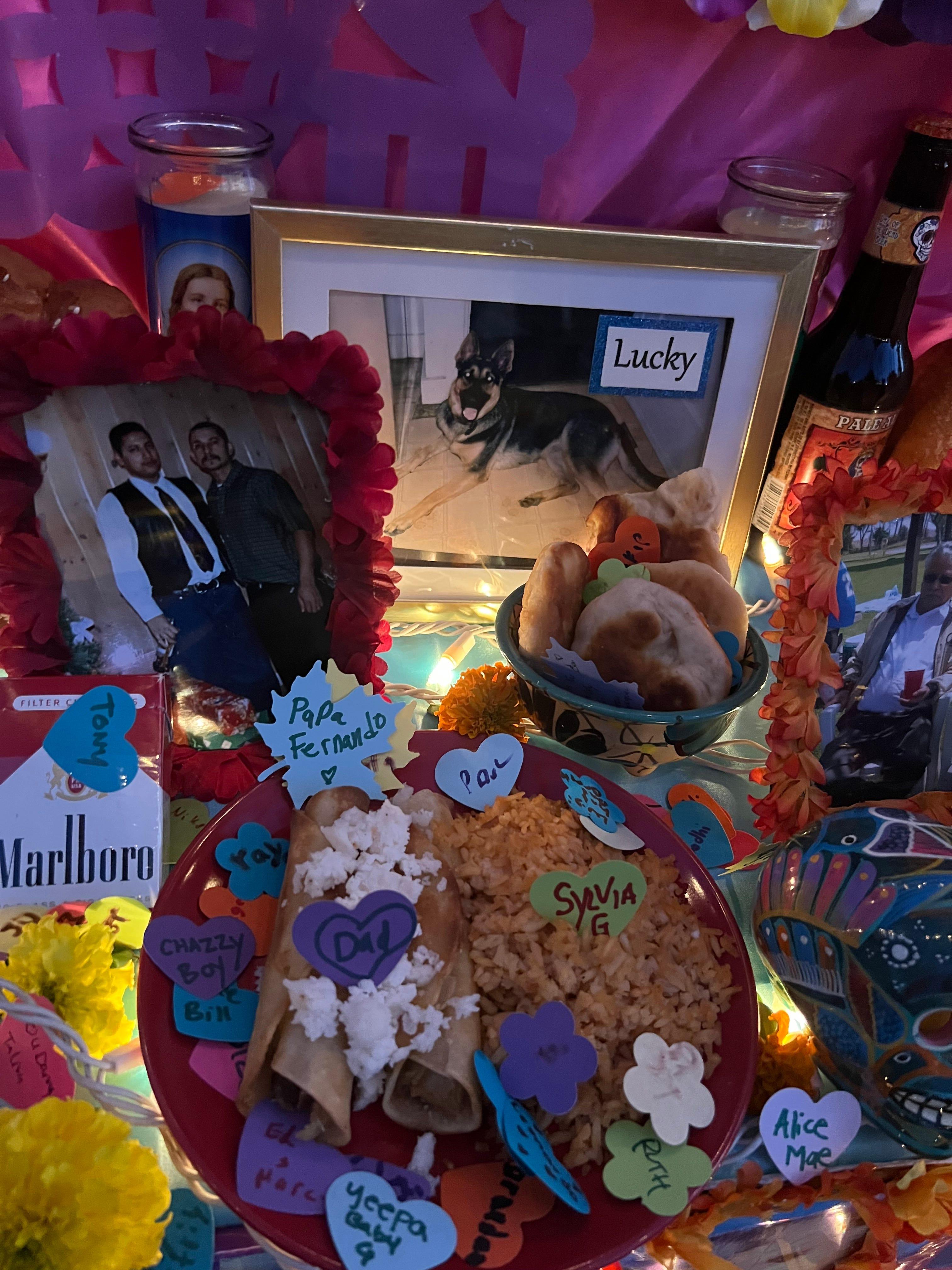 Pictures of dead pets and family members are displayed alongside candles and "ofrendas," or offerings, on an altar during the Día de Los Muertos celebration at the Hollywood Forever Cemetery in Los Angeles on Saturday, Oct. 28, 2023.