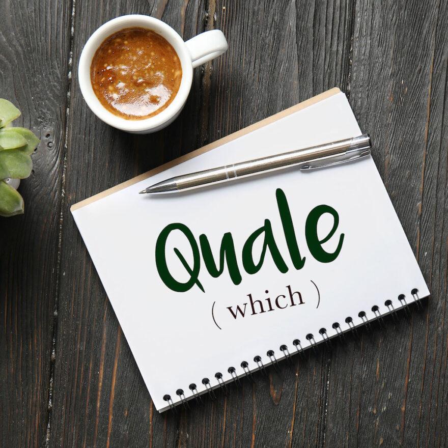 italian-word-for-which-quale