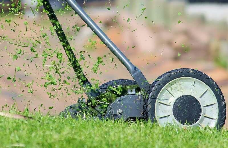 mowing lawn with the help of mower