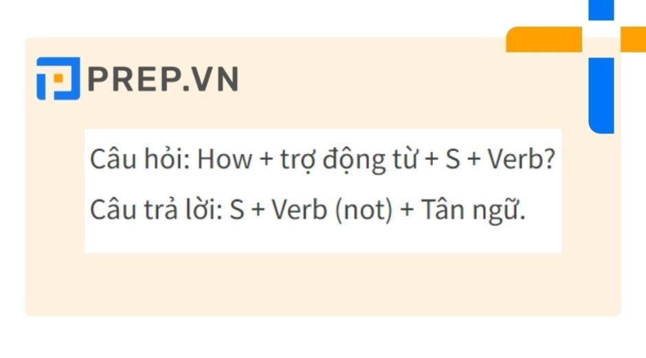 Cấu trúc câu hỏi How với động từ thường