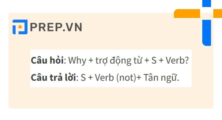 Cấu trúc với động từ thường