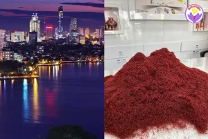 The price of saffron in Vietnam - Ana Qayen saffron