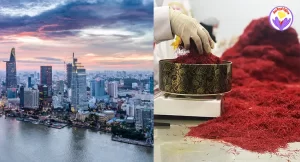 Saffron suppliers in Vietnam - Ana Qayen saffron