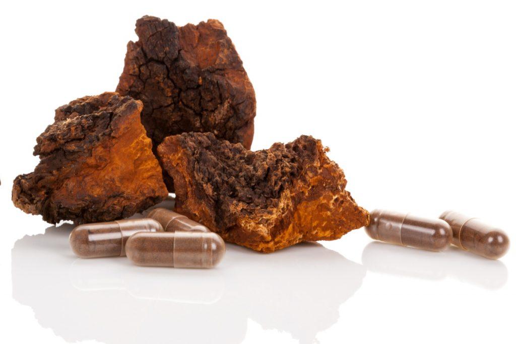 Chaga mushroom medicinal capsules