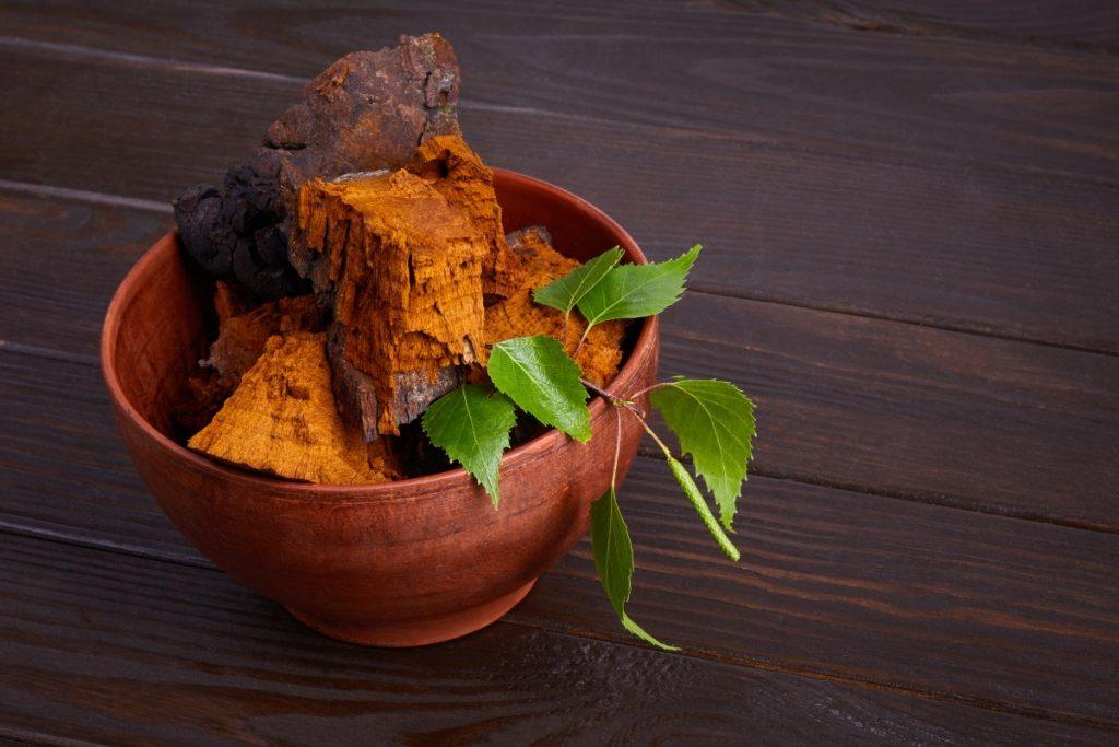 A Complete Guide to Chaga Mushrooms