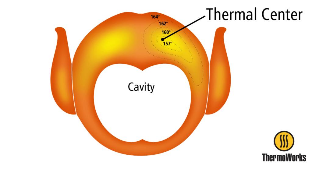 Locate the Thermal Center on a Turkey with a Thermometer