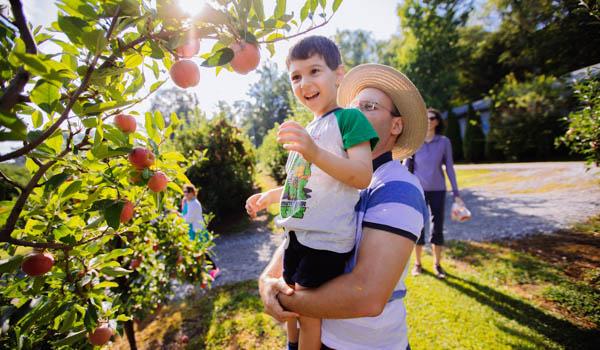 Hendersonville Apple Country