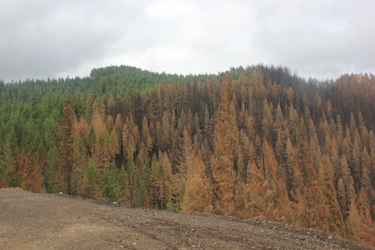 Andrews burned area 9-26-2023