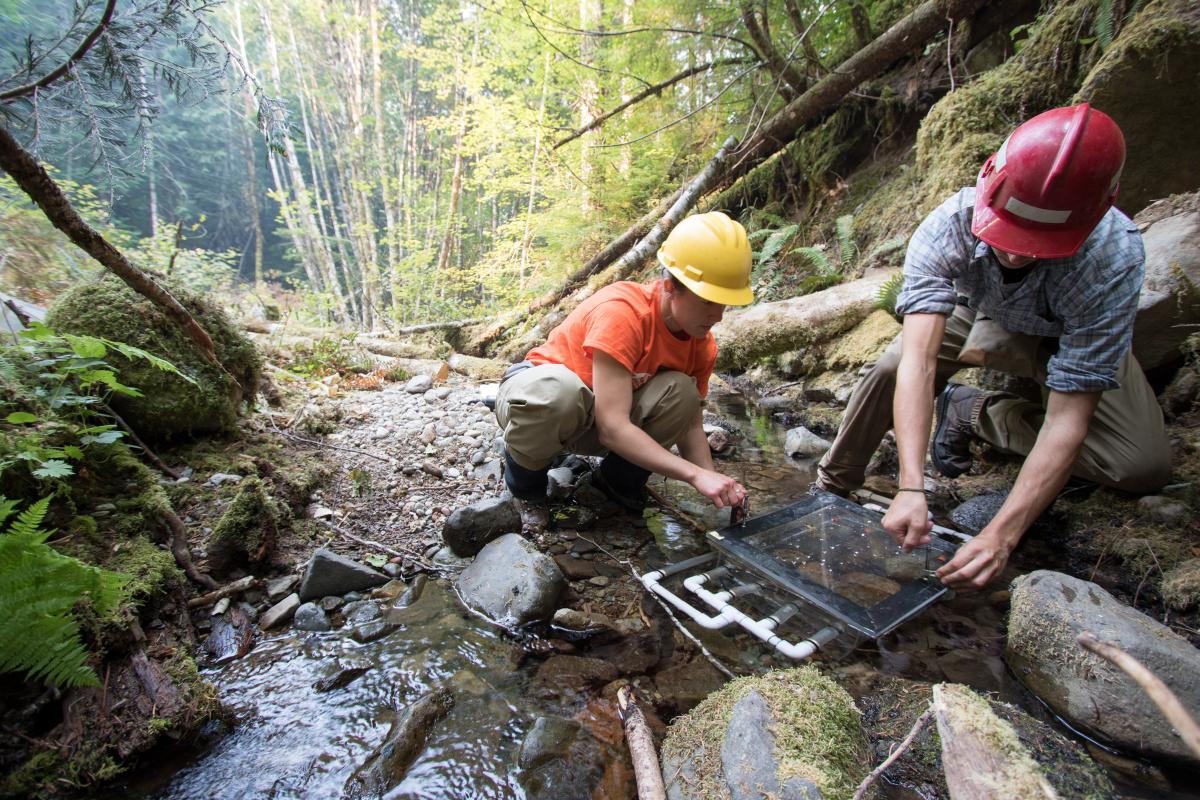 gap study in McRae tributary