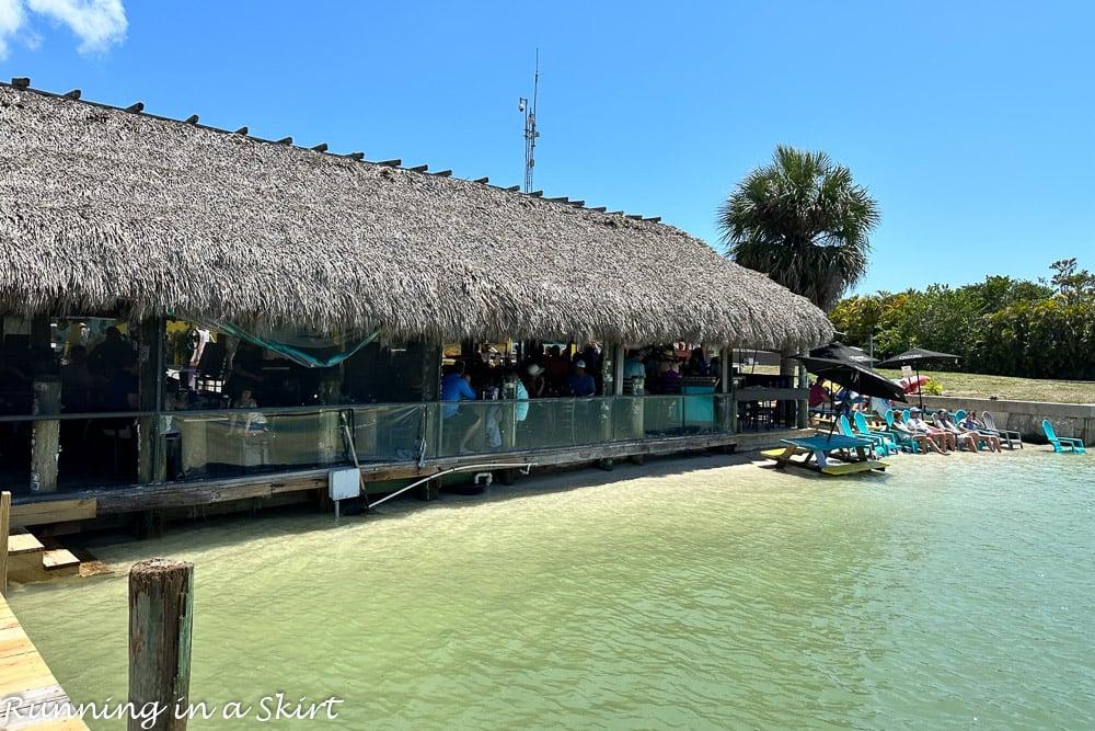 Marco Island restaurants - Capri Fish House Grouper Sandwich