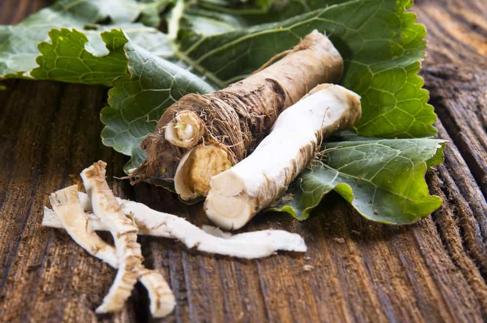 Fresh horseradish