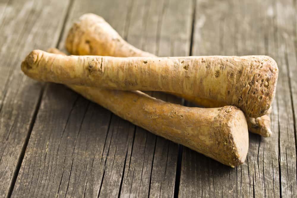 Fresh horseradish root