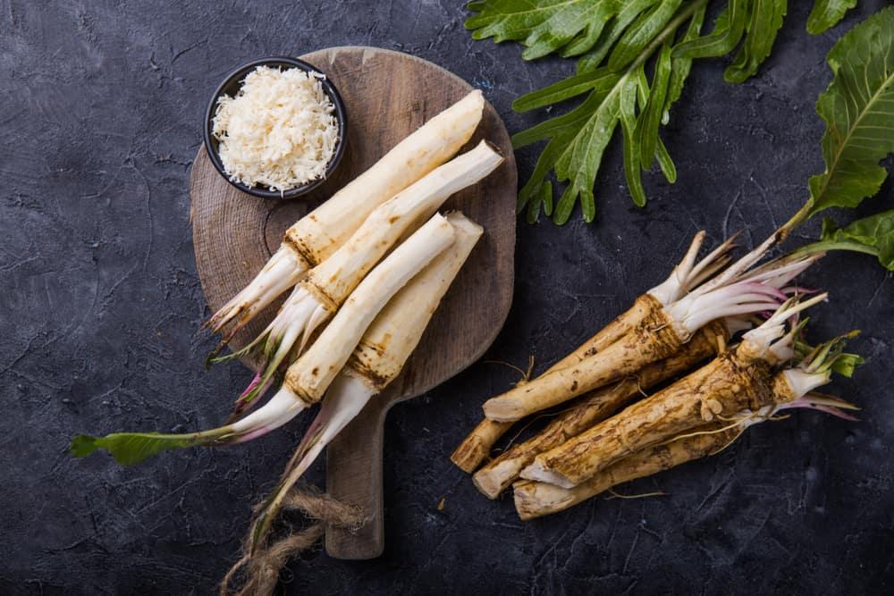 Fresh orgaanic horseradish or Horse-radish root on wooden cutting board