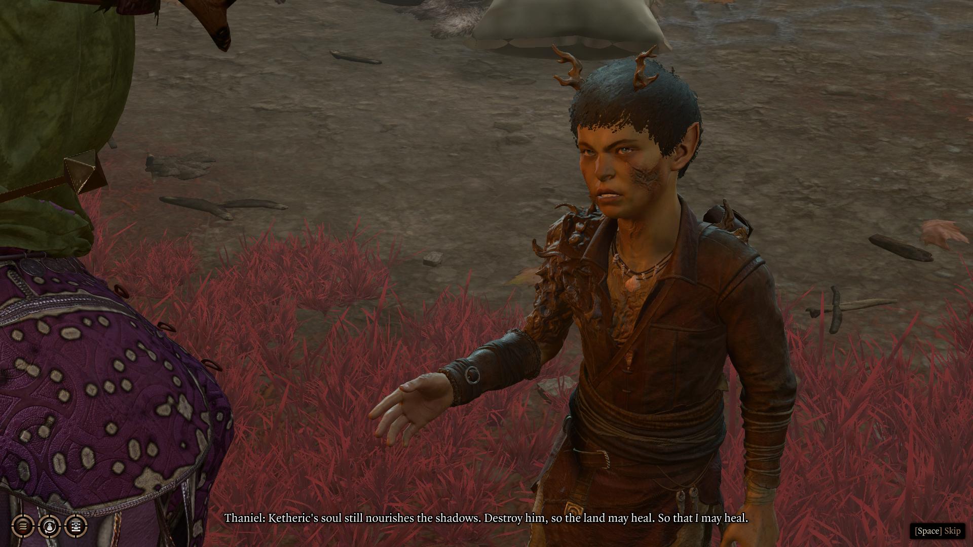 The player speaks with Thaniel at camp in Baldur