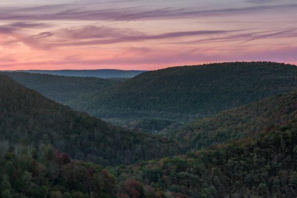 Ralph Stover State Park in Bucks County during late fall foliage in PA