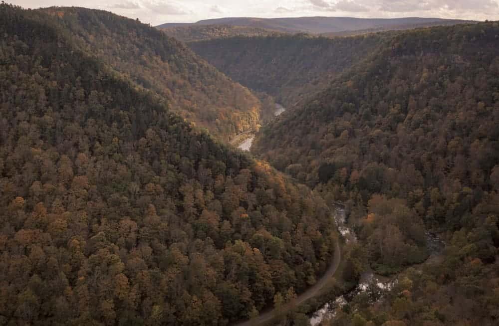 Fall Foliage in the PA Grand Canyon of Tioga County, Pennsylvania