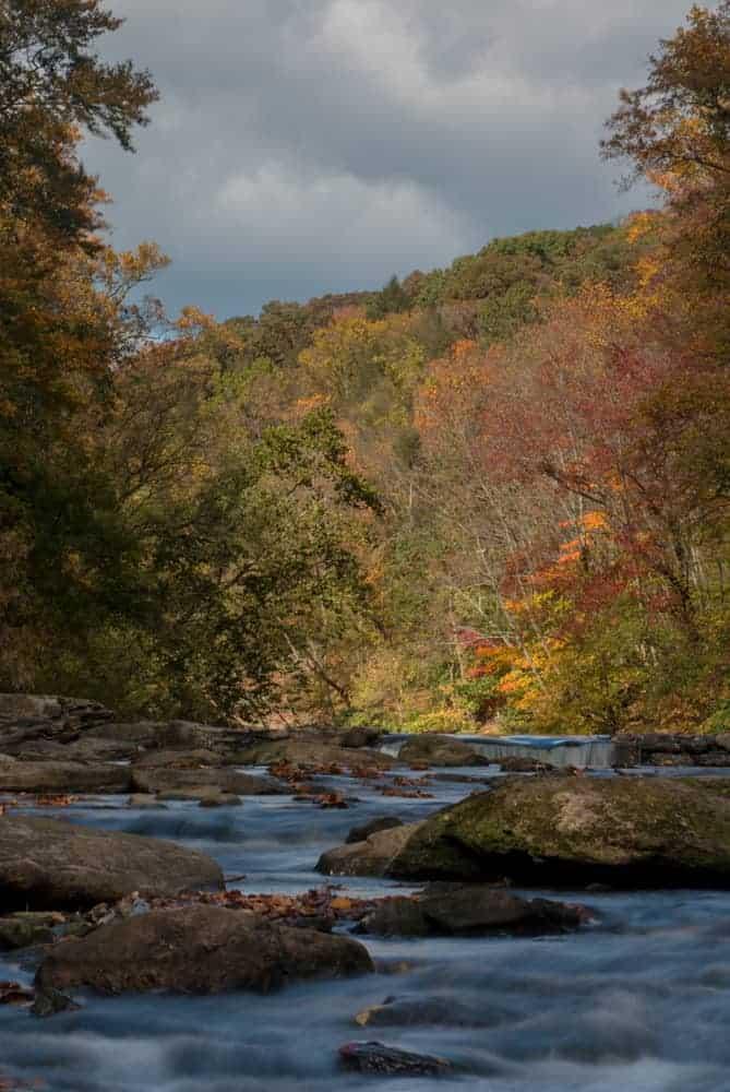 Seneca Point in Cook Forest State Park, Pennsylvania.