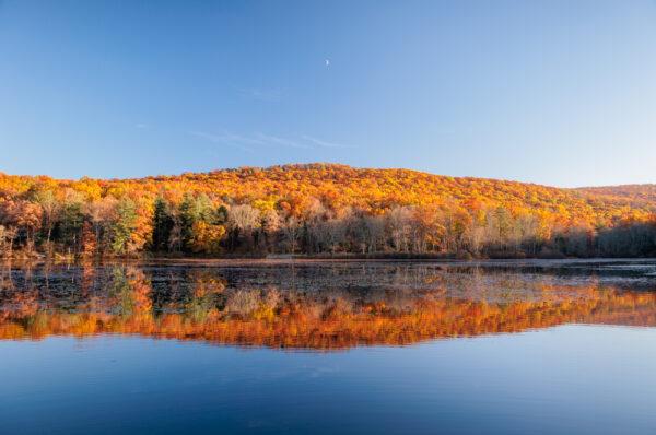 The beauty of Elk County, Pennsylvania