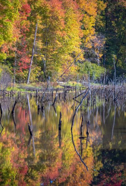 Trail in Keystone State Park in Westmoreland County Pennsylvania